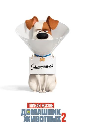 Тайная жизнь домашних животных 2 (2019) 
