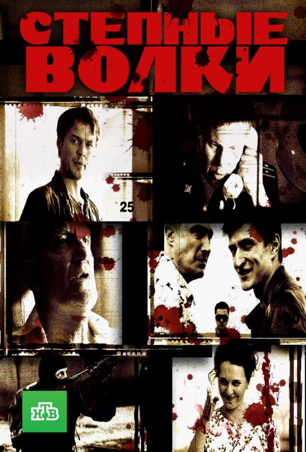 Степные волки (2016) 1 сезон 24 серия