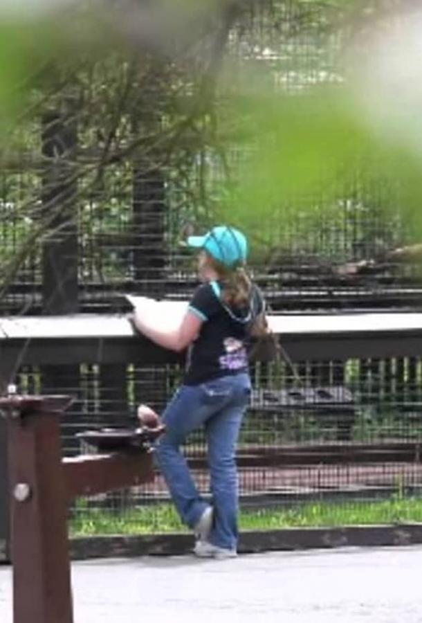 Zoo School (2015) 
