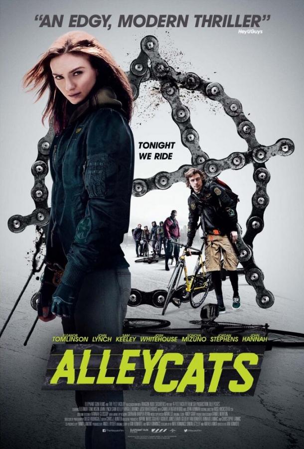 Уличные коты (2016) 