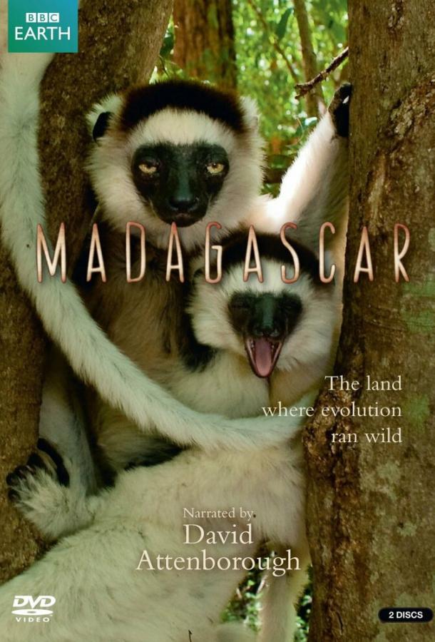 BBC: Мадагаскар (2011) 1 сезон 4 серия