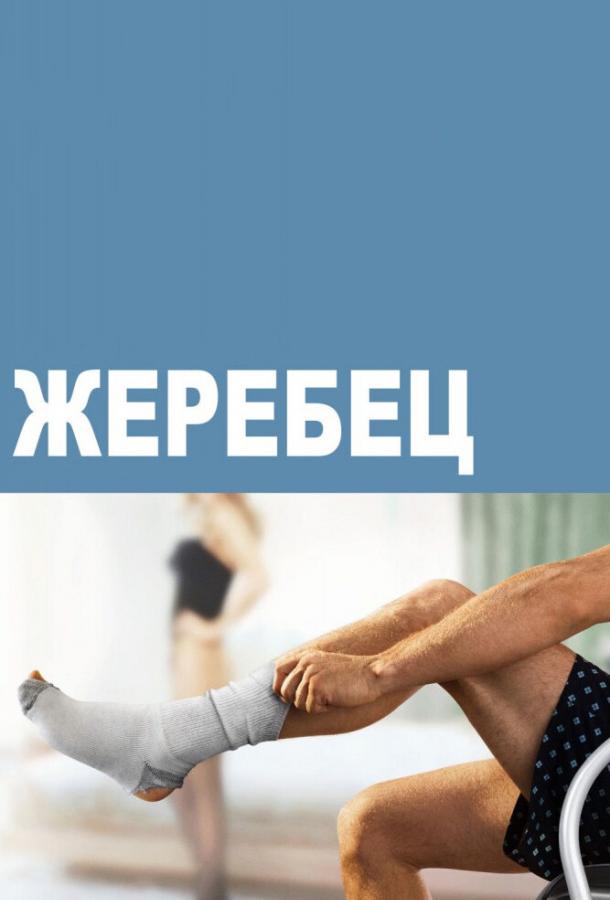 Жеребец (2009) 3 сезон 10 серия