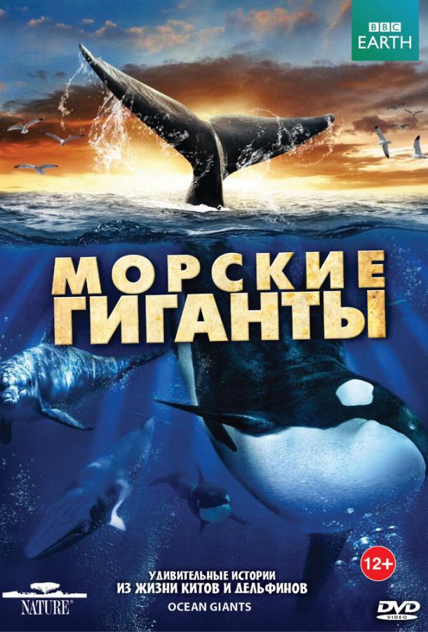 BBC: Морские гиганты (2011) 1 сезон 3 серия