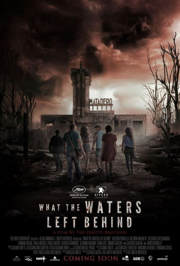 Что воды оставили позади (2017) 