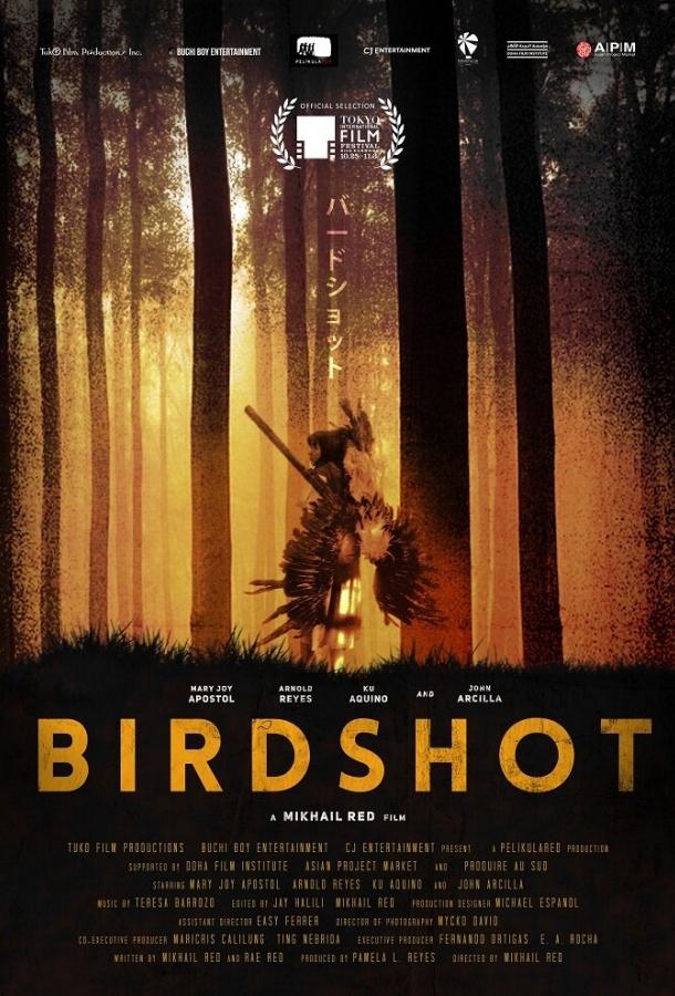 Дробь (2016) 
