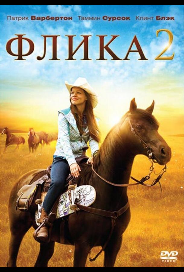 Флика 2 (2010) 
