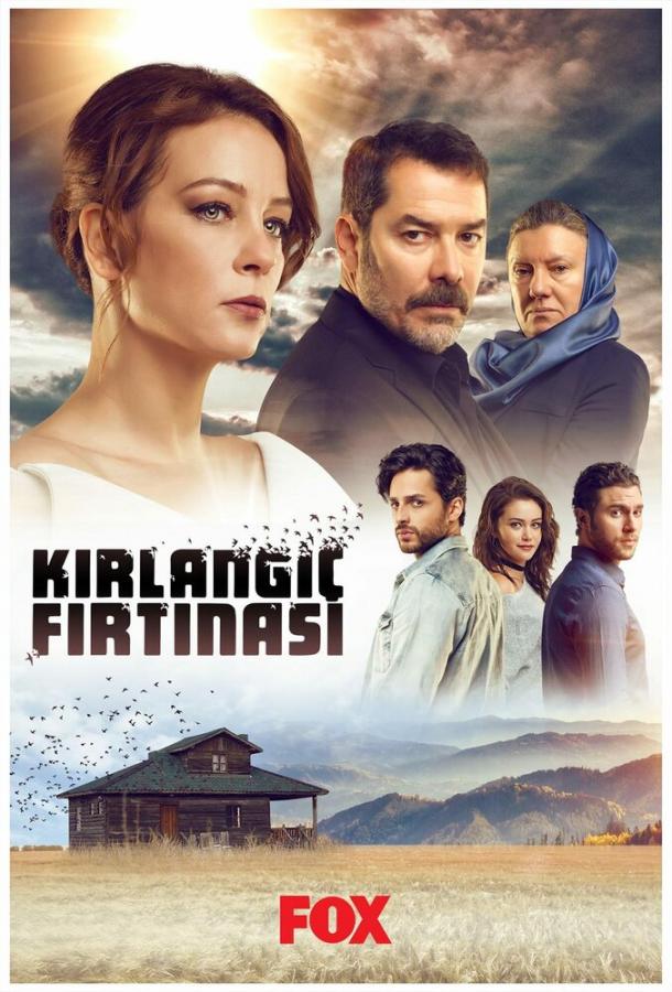 Шторм ласточки (2017) 1 сезон 7 серия
