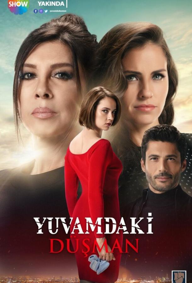 Враг в моем доме (2018) 1 сезон 6 серия