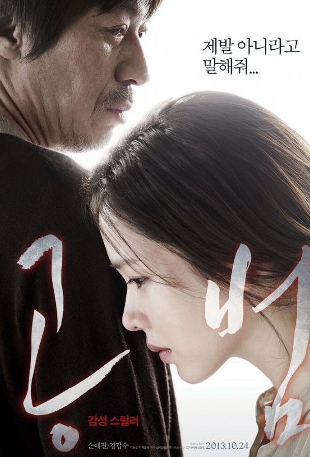 Сообщник (2013) 