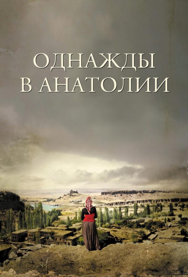 Однажды в Анатолии (2011) 