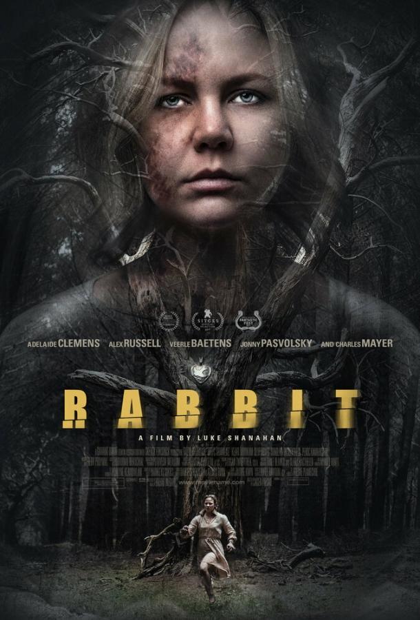 Кролик (2017) 