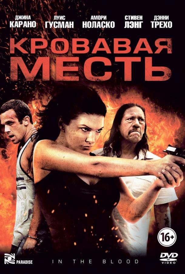 Кровавая месть (2013) 