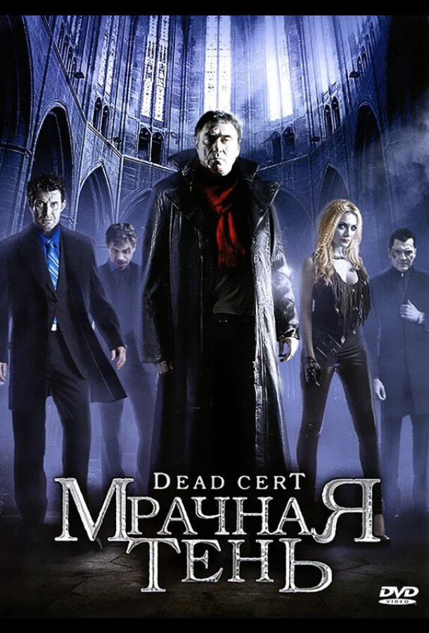 Мрачная тень (2010) 