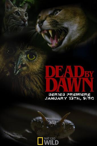 Дожить до рассвета (2019) 1 сезон 6 серия