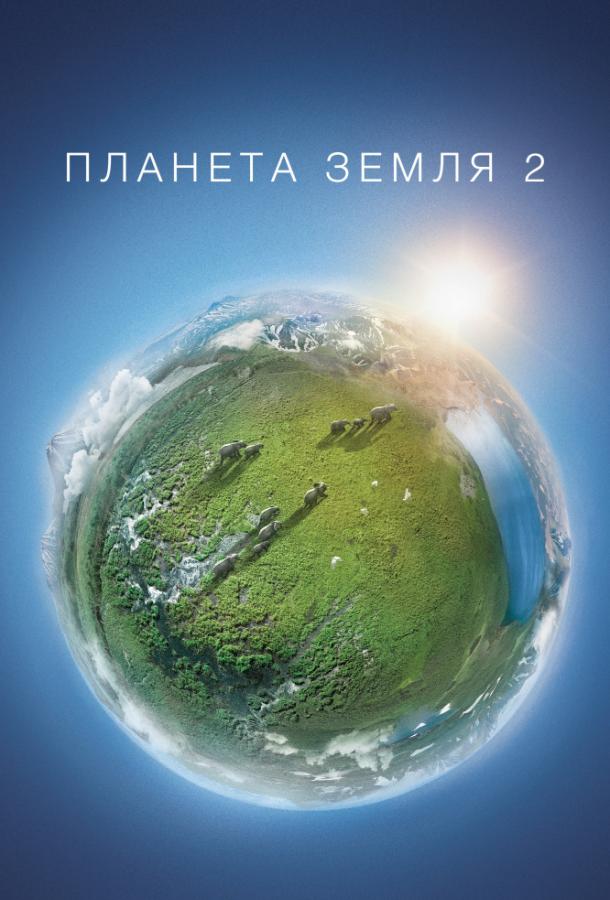 Планета Земля 2 (2016) 1 сезон 6 серия