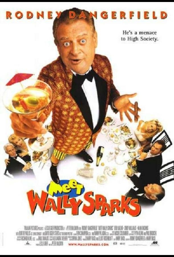 Познакомьтесь с Уолли Спарксом (1996) 