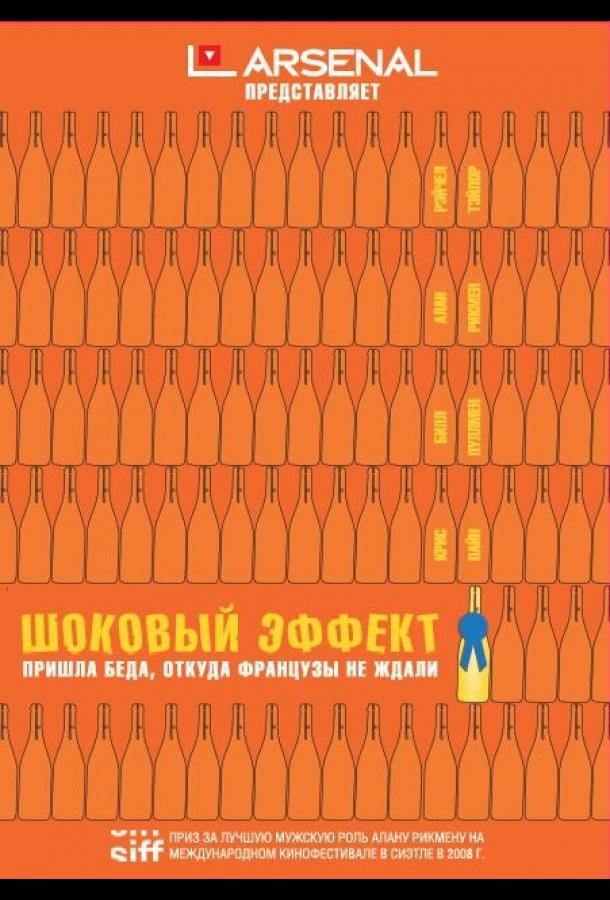 Шоковый эффект (2008) 