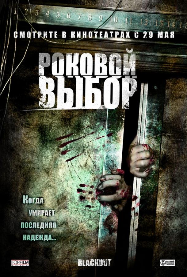 Роковой выбор (2007) 