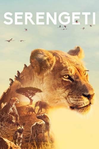 BBC: Серенгети (2019) 1 сезон 6 серия