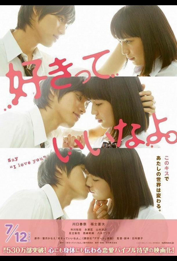 Скажи: Я люблю тебя (2014) 