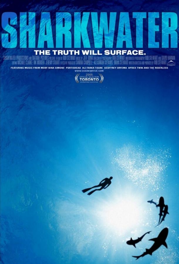 Акулы (2006) 