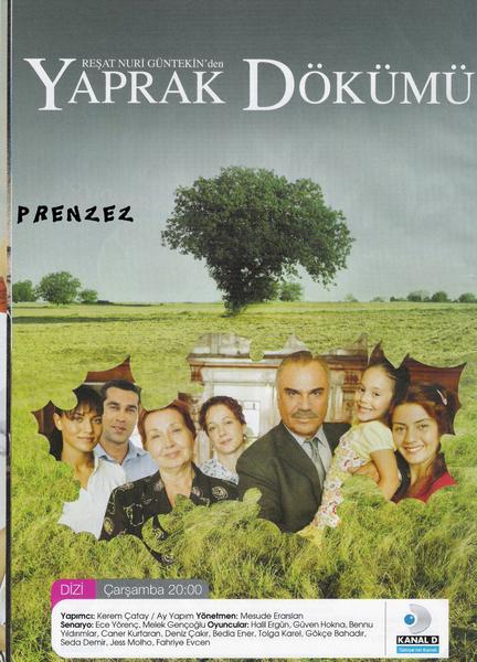 Листопад (2006) 5 сезон 174 серия