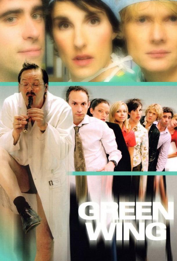 Зеленое крыло (2004) 2 сезон 9 серия