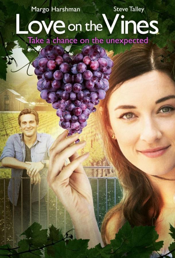 Любовь на винограднике (2017) 