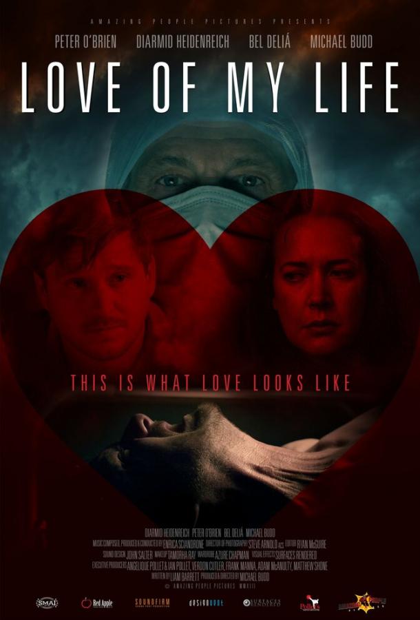 Любовь моей жизни (2013) 