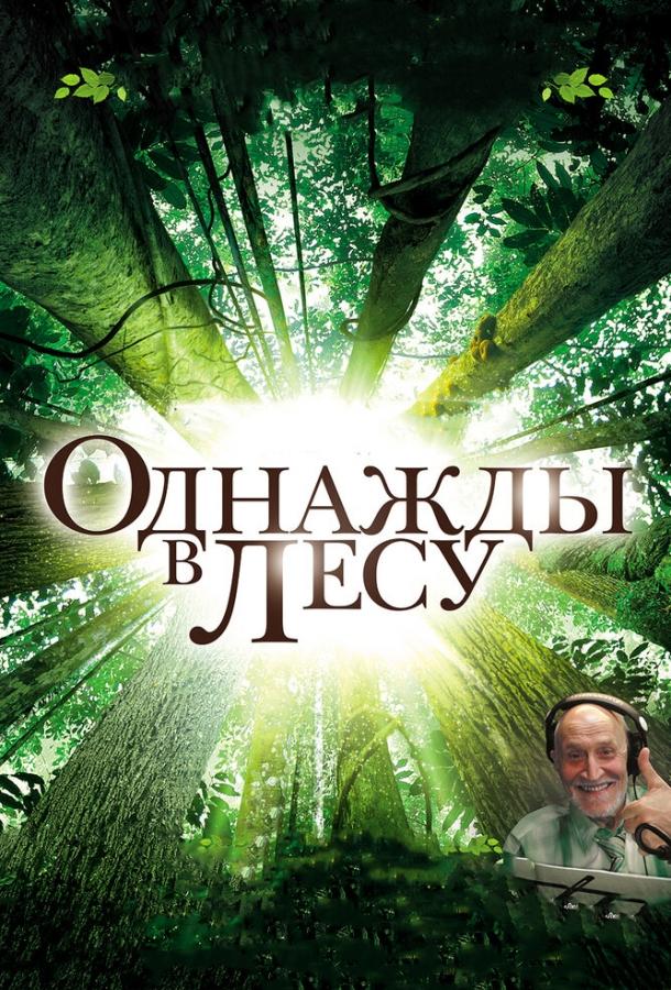 Однажды в лесу (2013) 