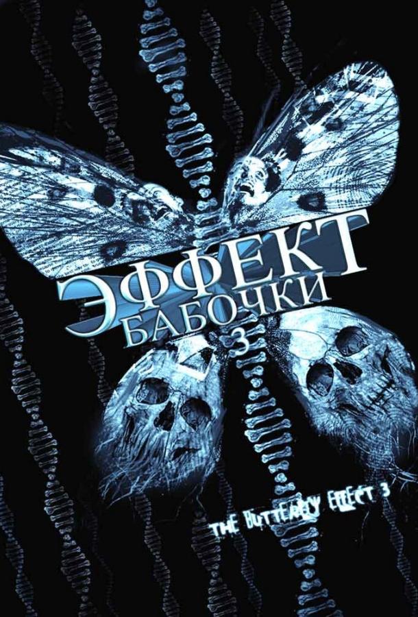 Эффект бабочки 3 (2008) 
