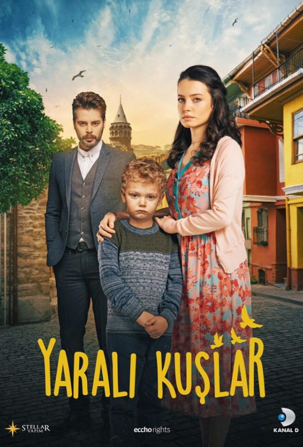 Раненые птицы (2019) 1 сезон 165 серия