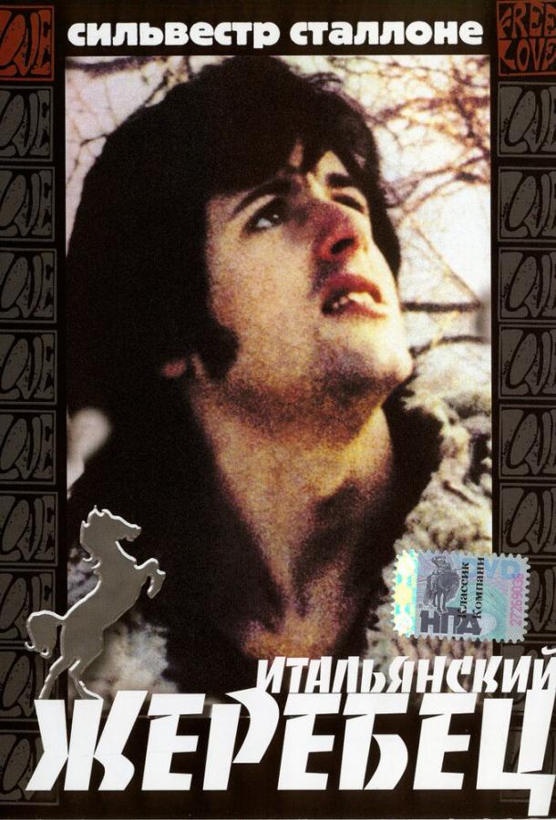 Итальянский жеребец (1970) 