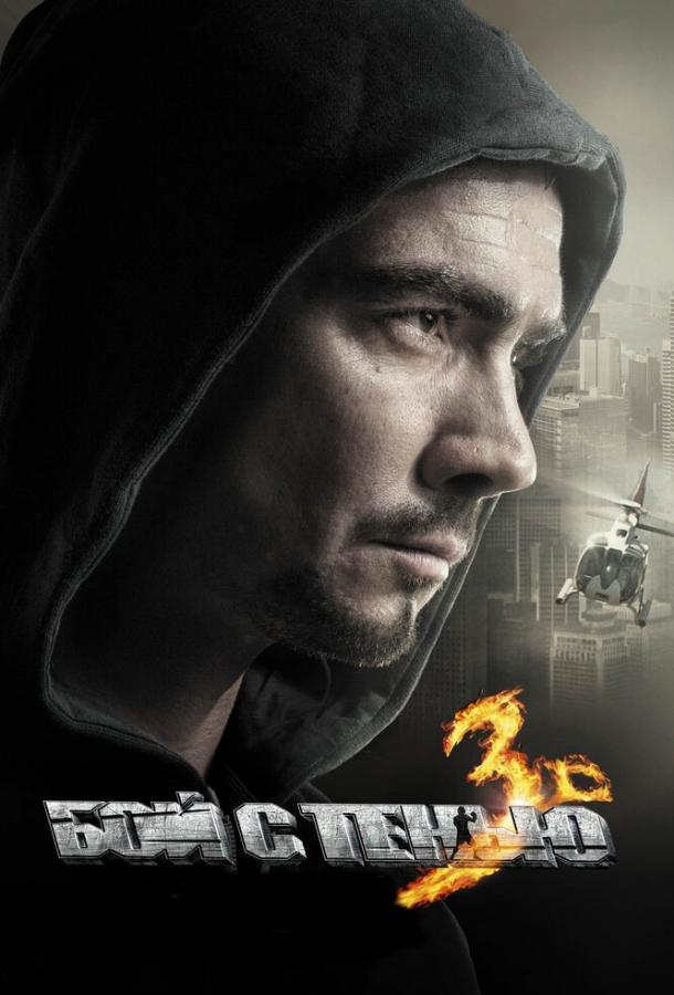 Бой с тенью: Последний раунд (2011) 