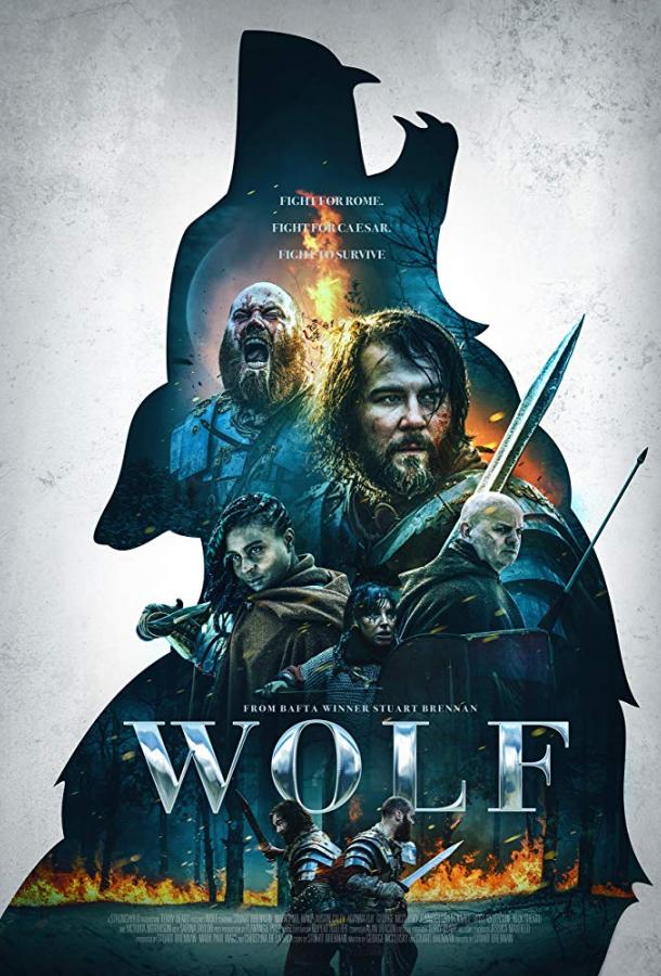 Волк (2019) 