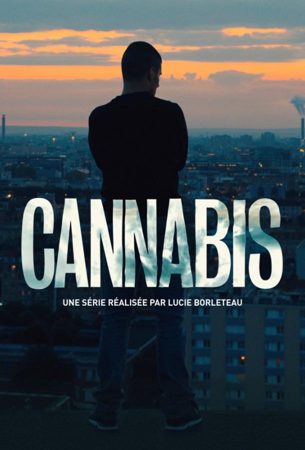Каннабис (2016) 1 сезон 6 серия