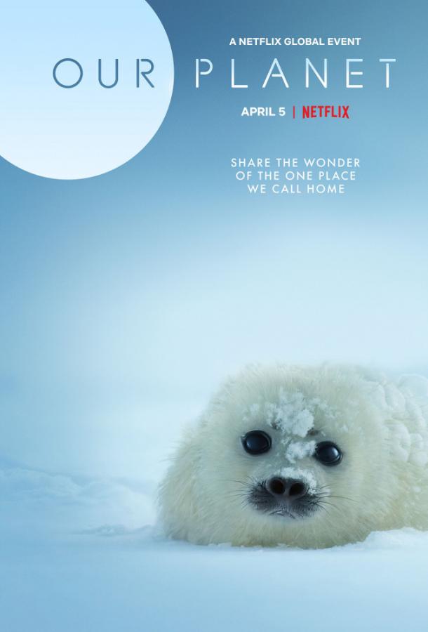 Наша планета (2019) 2 сезон 4 серия