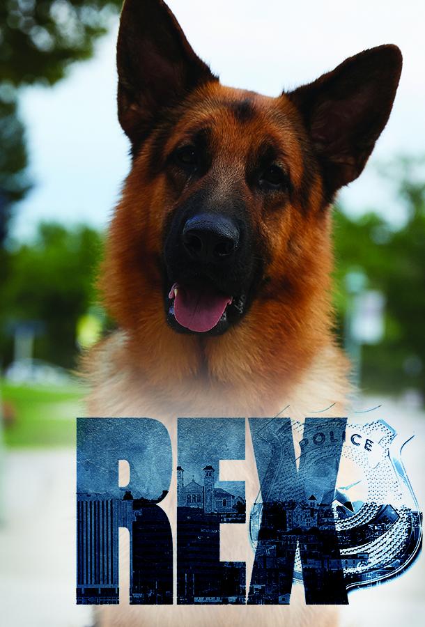 Хадсон и Рекс (2019) 9 сезон 1 серия