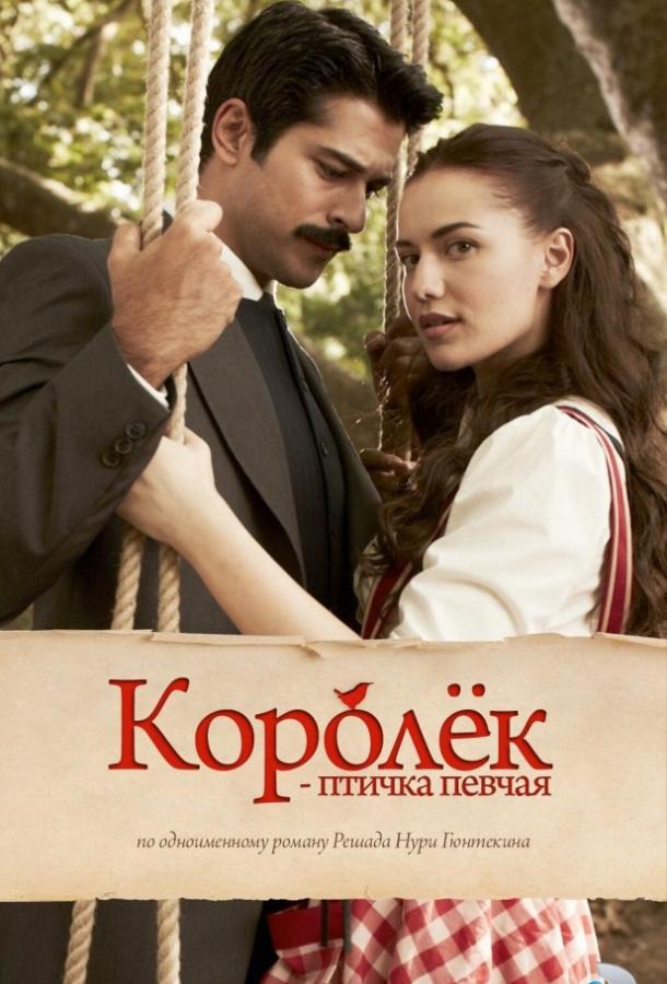 Королёк – птичка певчая (2013) 1 сезон 30 серия