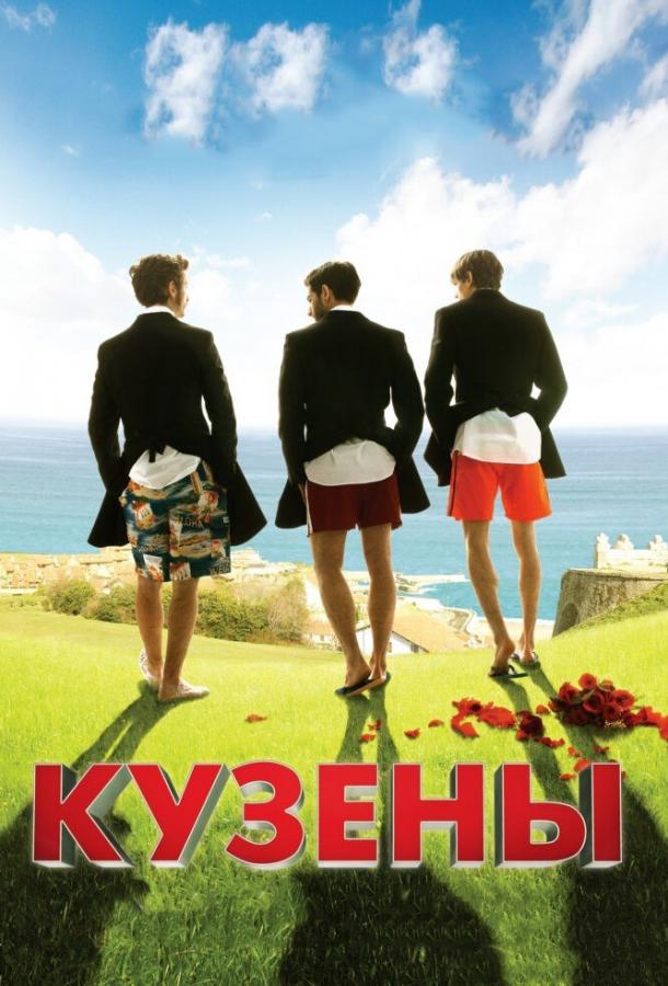 Кузены (2010) 