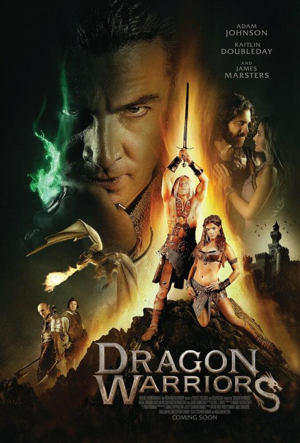 Воины дракона (2015) 