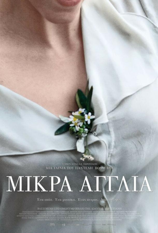 Маленькая Англия (2013) 