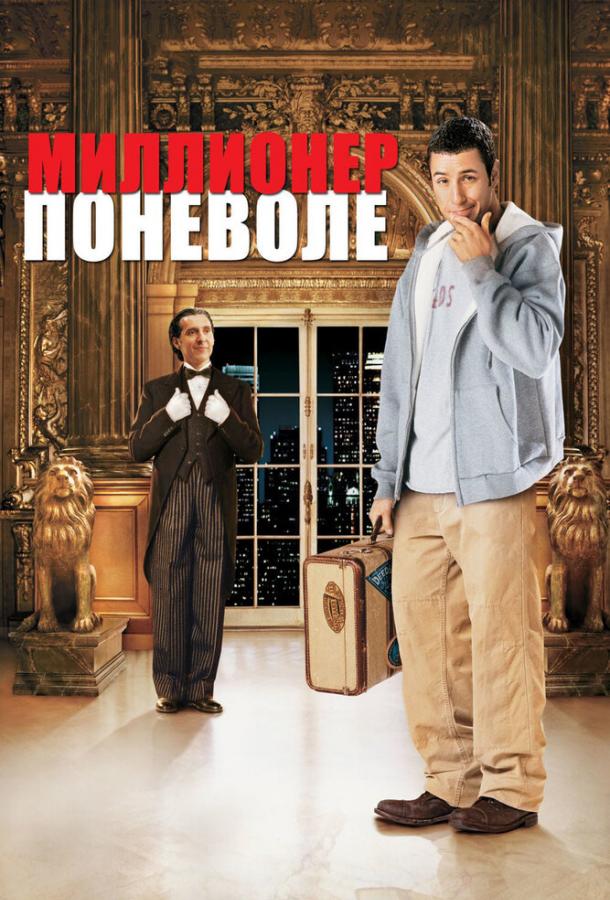 Миллионер поневоле (2002) 