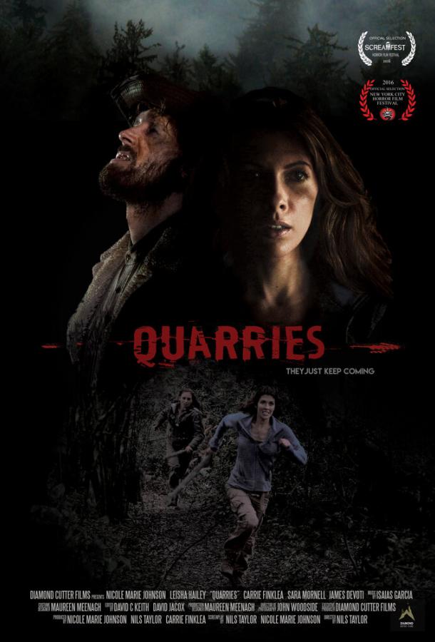 Карьер (2016) 