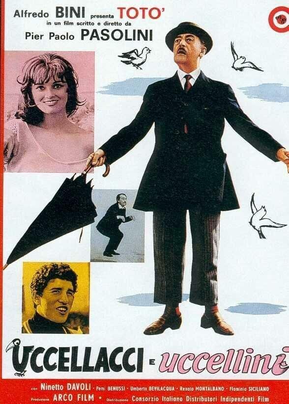 Птицы большие и малые (1966) 