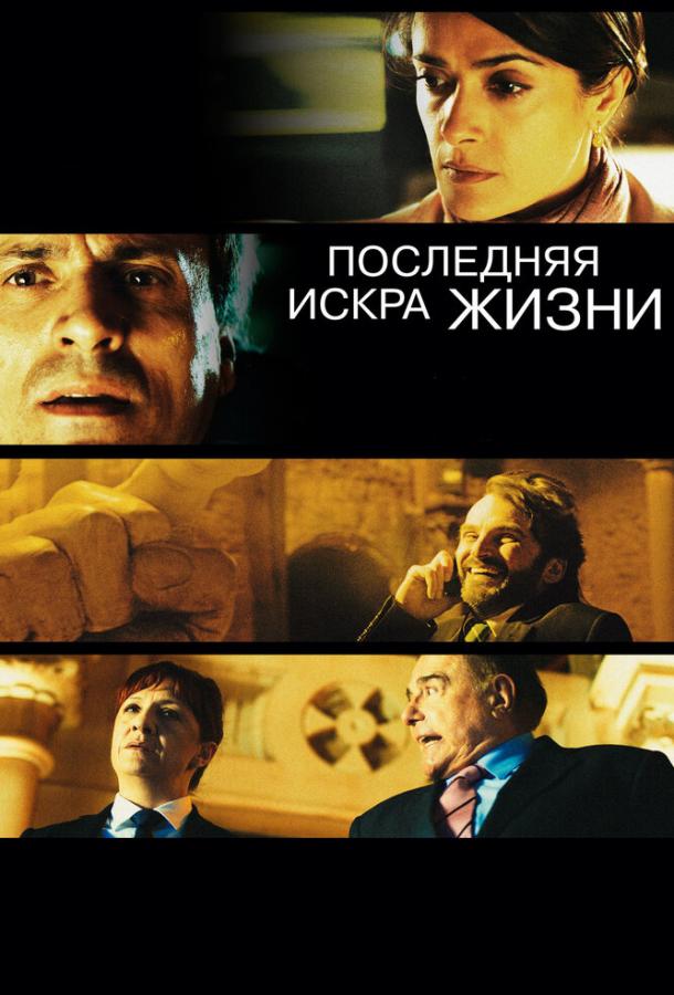Последняя искра жизни (2011) 