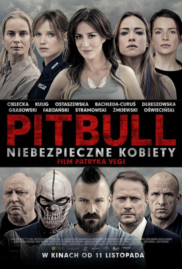 Питбуль. Опасные женщины (2016) 