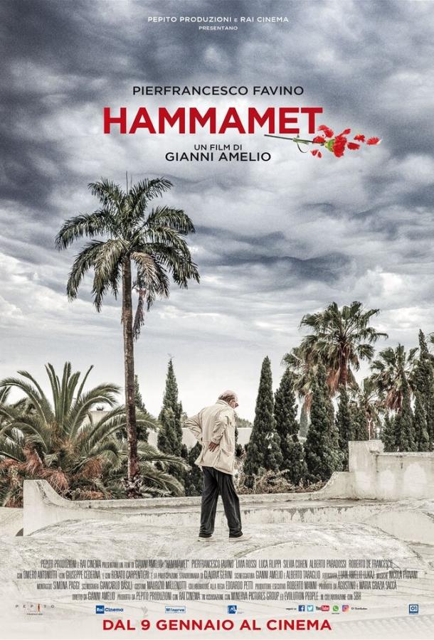 Хаммамет (2020) 
