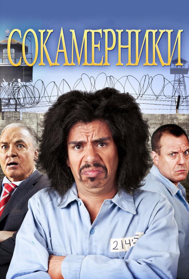 Сокамерники (2011) 
