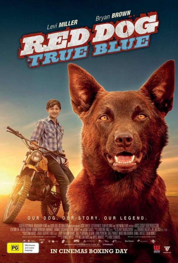 Рыжий пес: Самый верный (2016) 